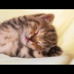 Meet your Posher, Tiffany